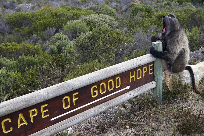 Cape of Good Hope Cape Town